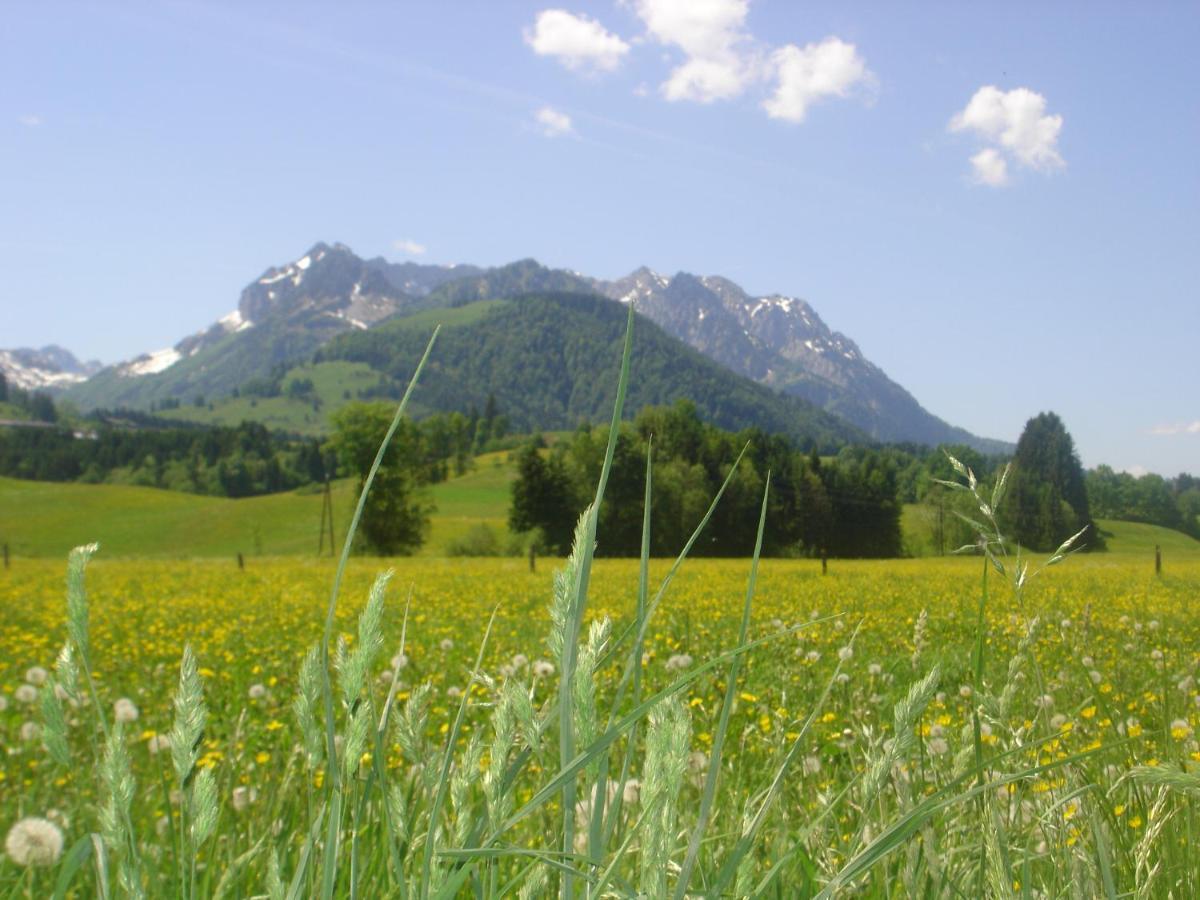 Bio-Bauernhof Bachangerhof เคิสเซน ภายนอก รูปภาพ