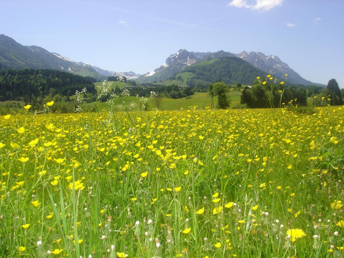 Bio-Bauernhof Bachangerhof เคิสเซน ภายนอก รูปภาพ