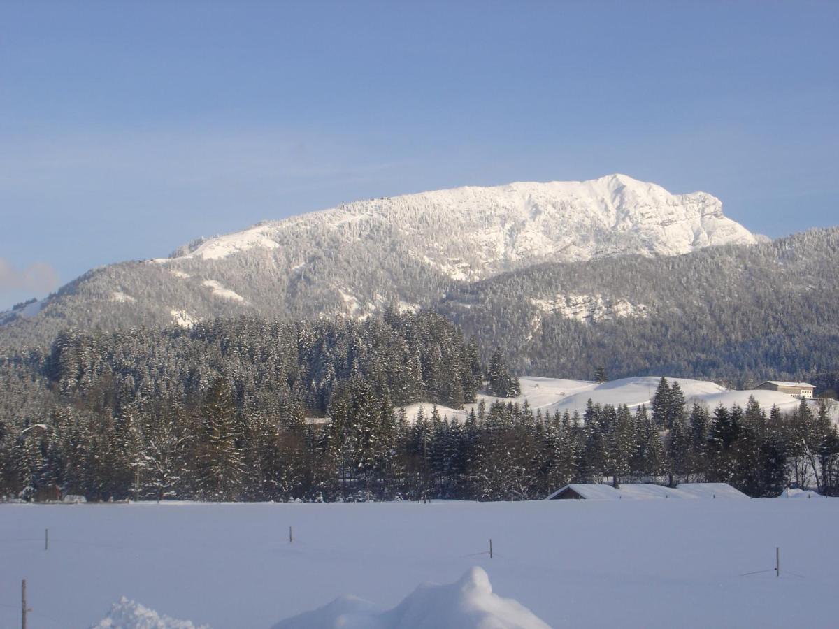 Bio-Bauernhof Bachangerhof เคิสเซน ภายนอก รูปภาพ