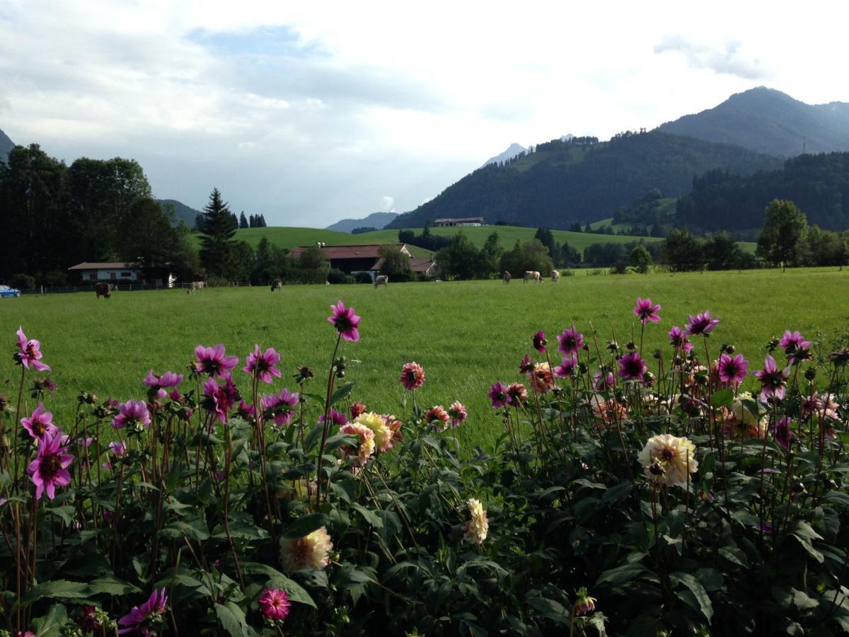 Bio-Bauernhof Bachangerhof เคิสเซน ภายนอก รูปภาพ