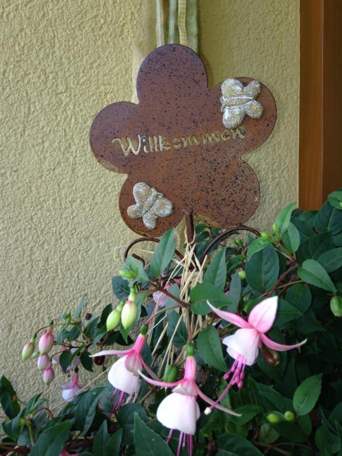 Bio-Bauernhof Bachangerhof เคิสเซน ภายนอก รูปภาพ