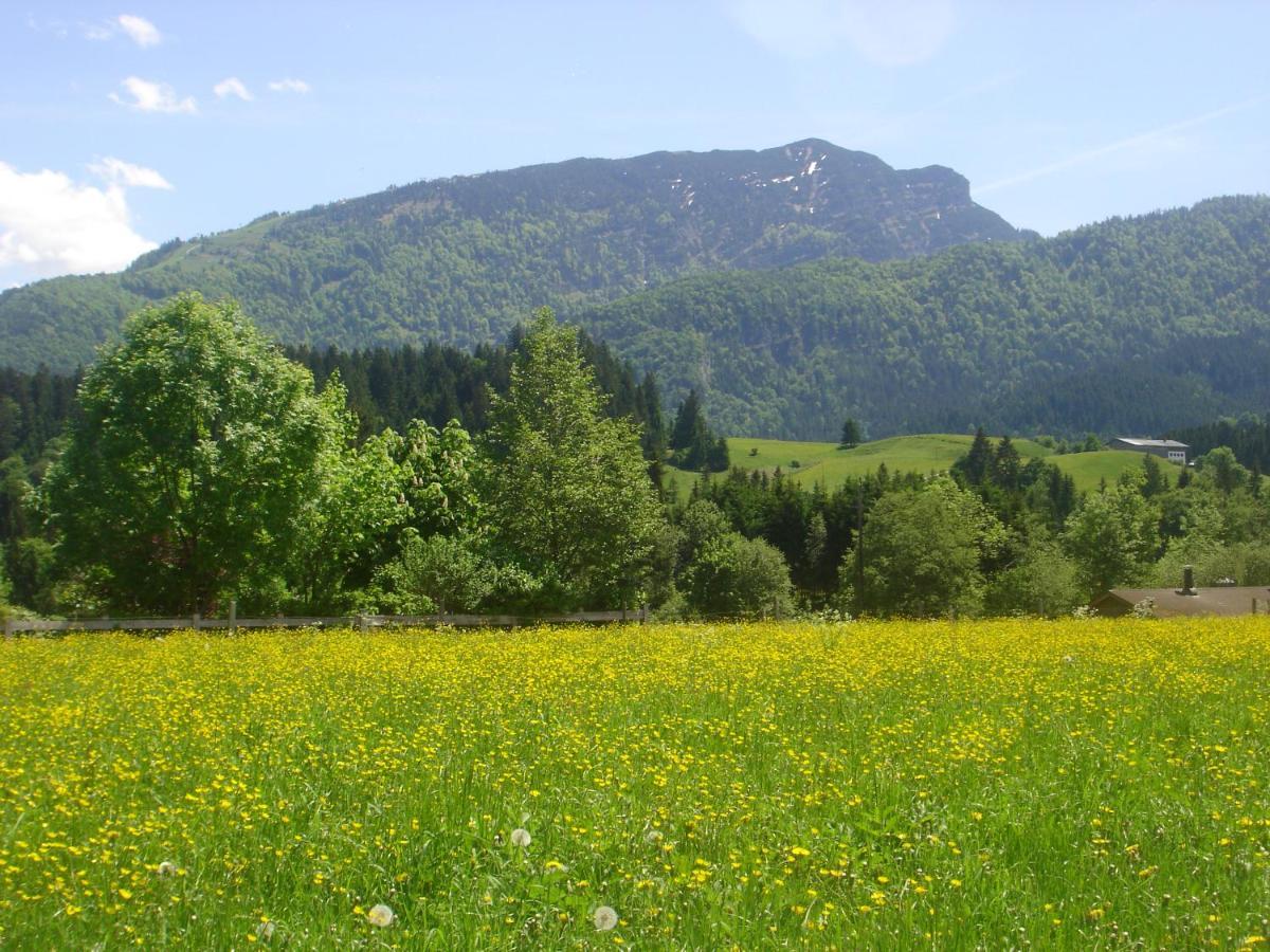 Bio-Bauernhof Bachangerhof เคิสเซน ภายนอก รูปภาพ