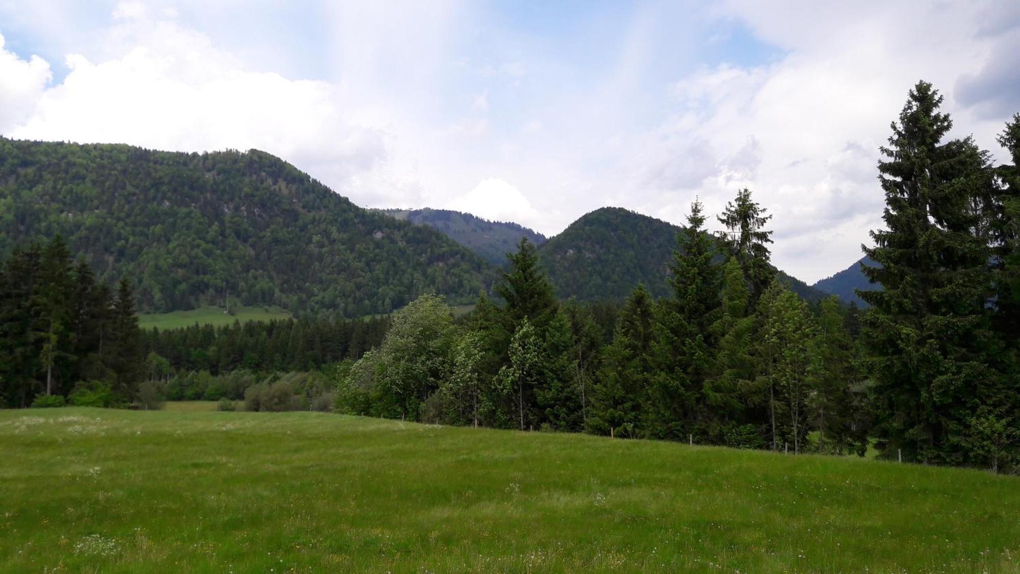 Bio-Bauernhof Bachangerhof เคิสเซน ภายนอก รูปภาพ