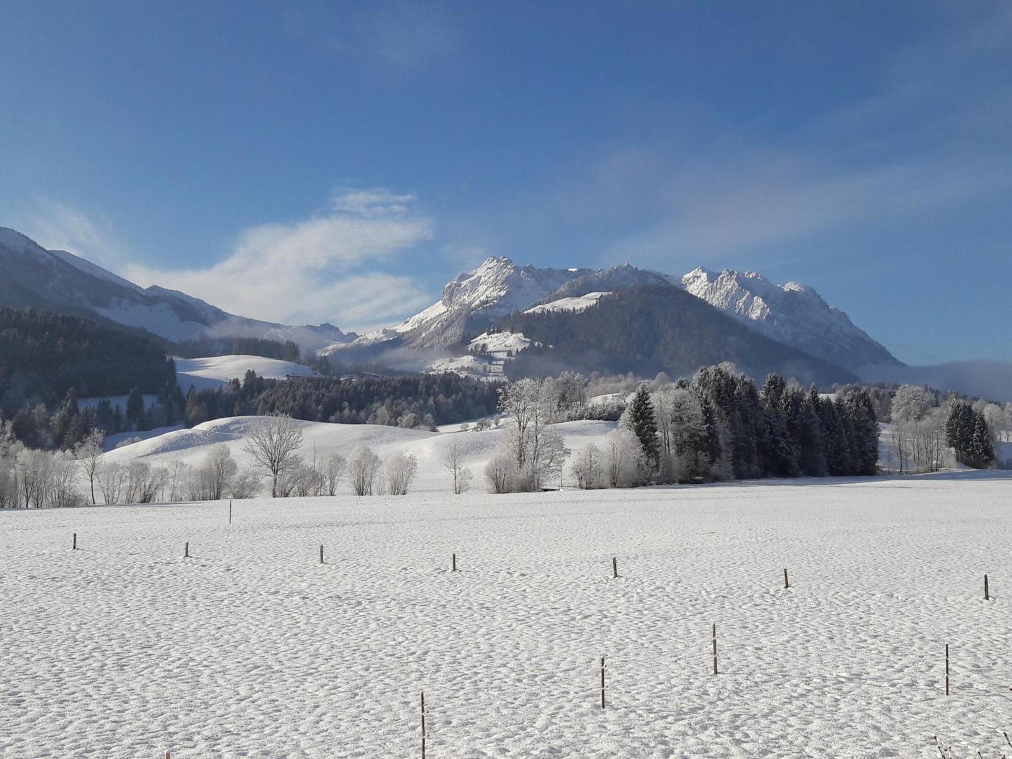 Bio-Bauernhof Bachangerhof เคิสเซน ภายนอก รูปภาพ