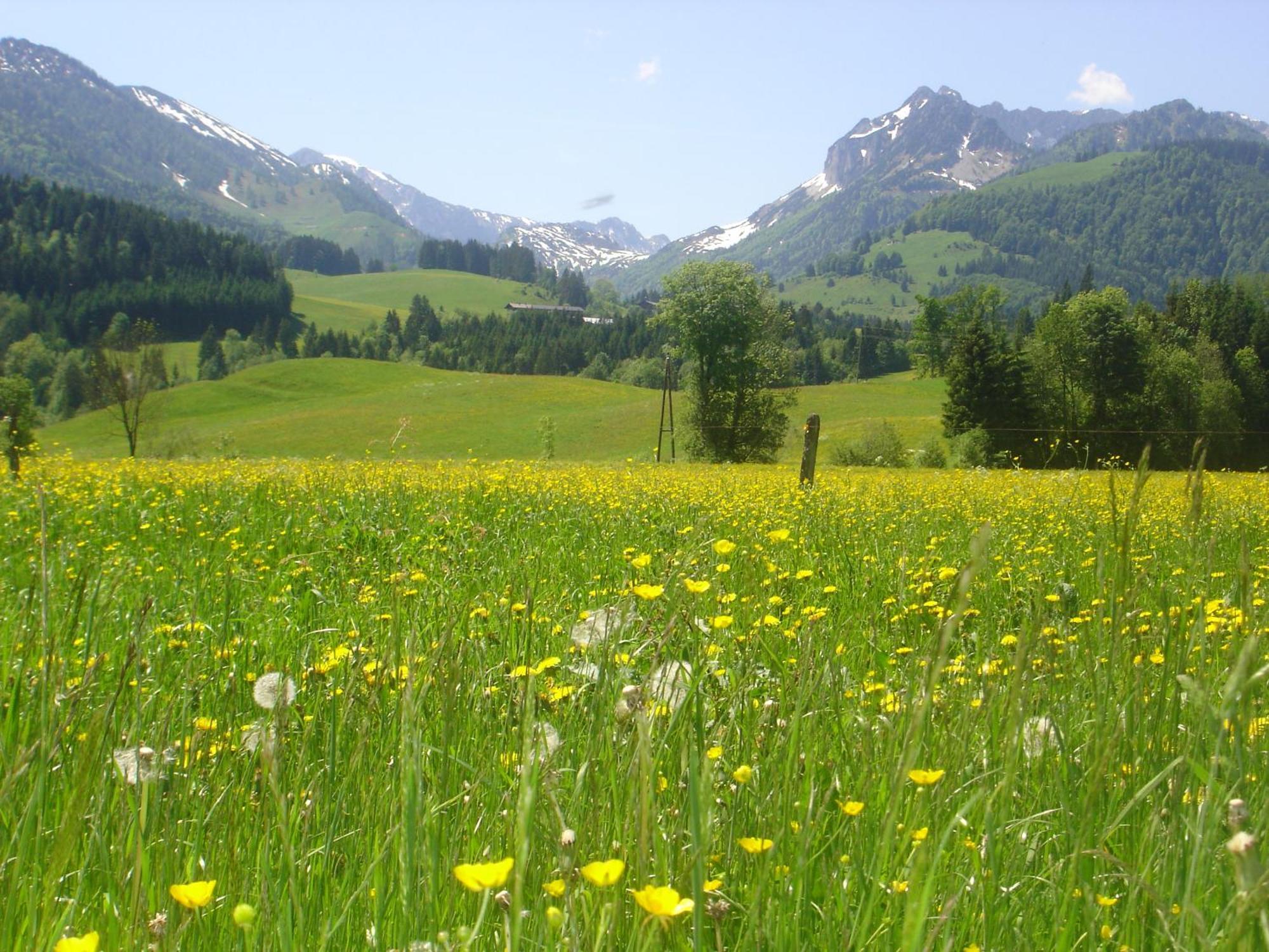 Bio-Bauernhof Bachangerhof เคิสเซน ภายนอก รูปภาพ
